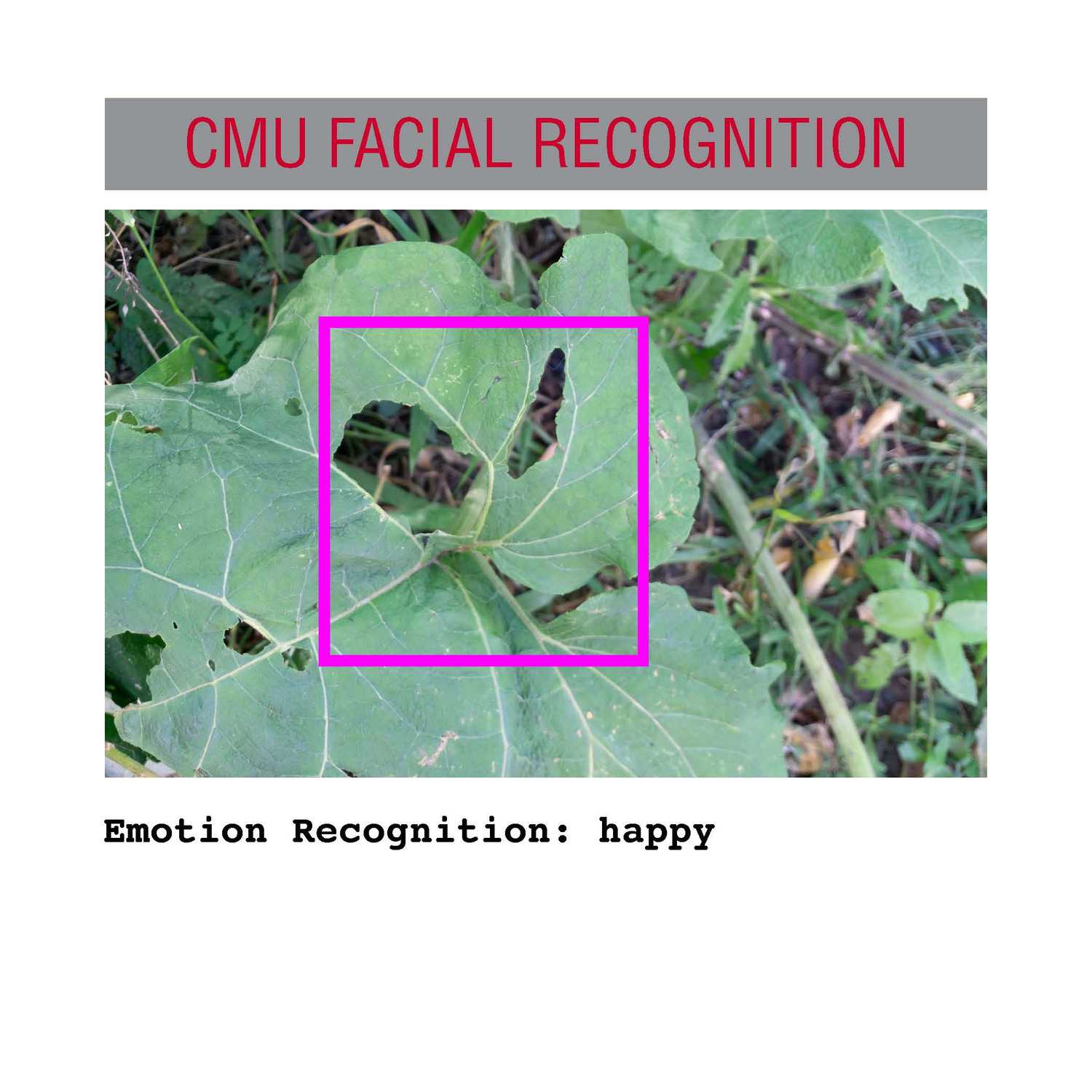 facial recognition Page 09
