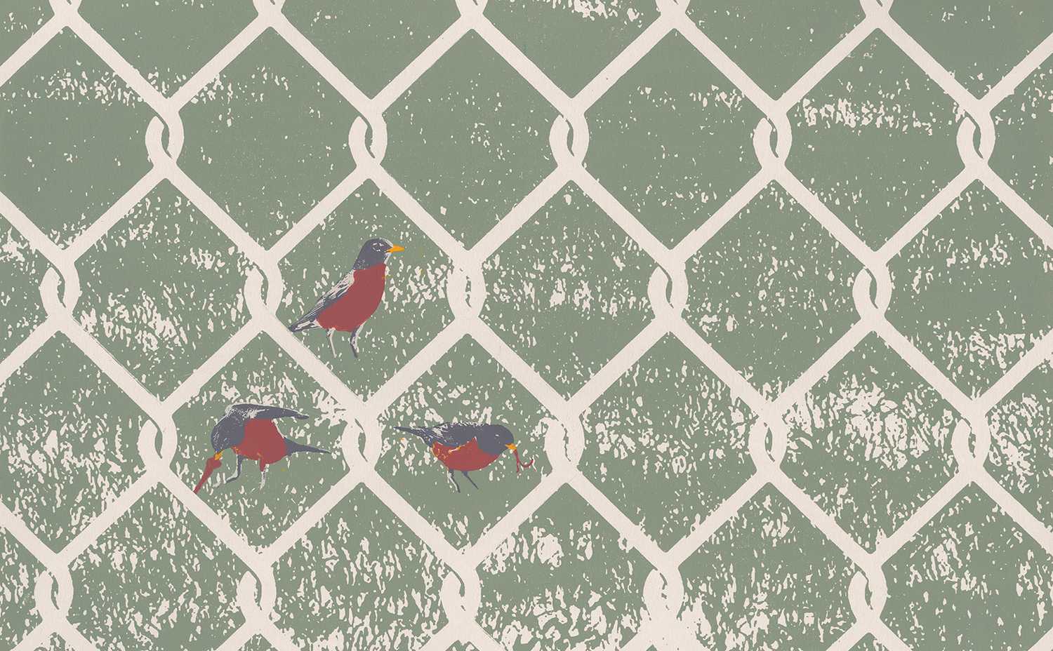 Print of robins behind a wire fence.