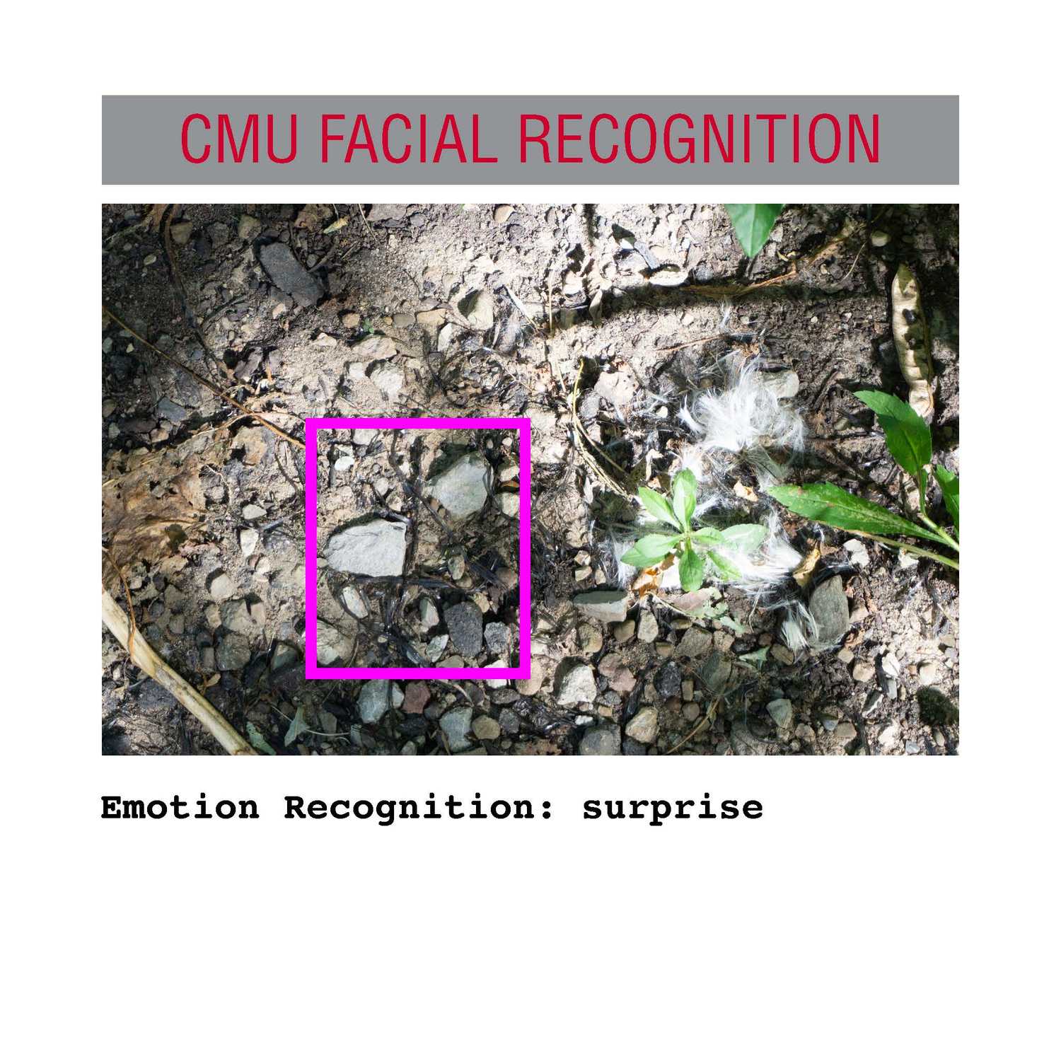 facial recognition Page 13