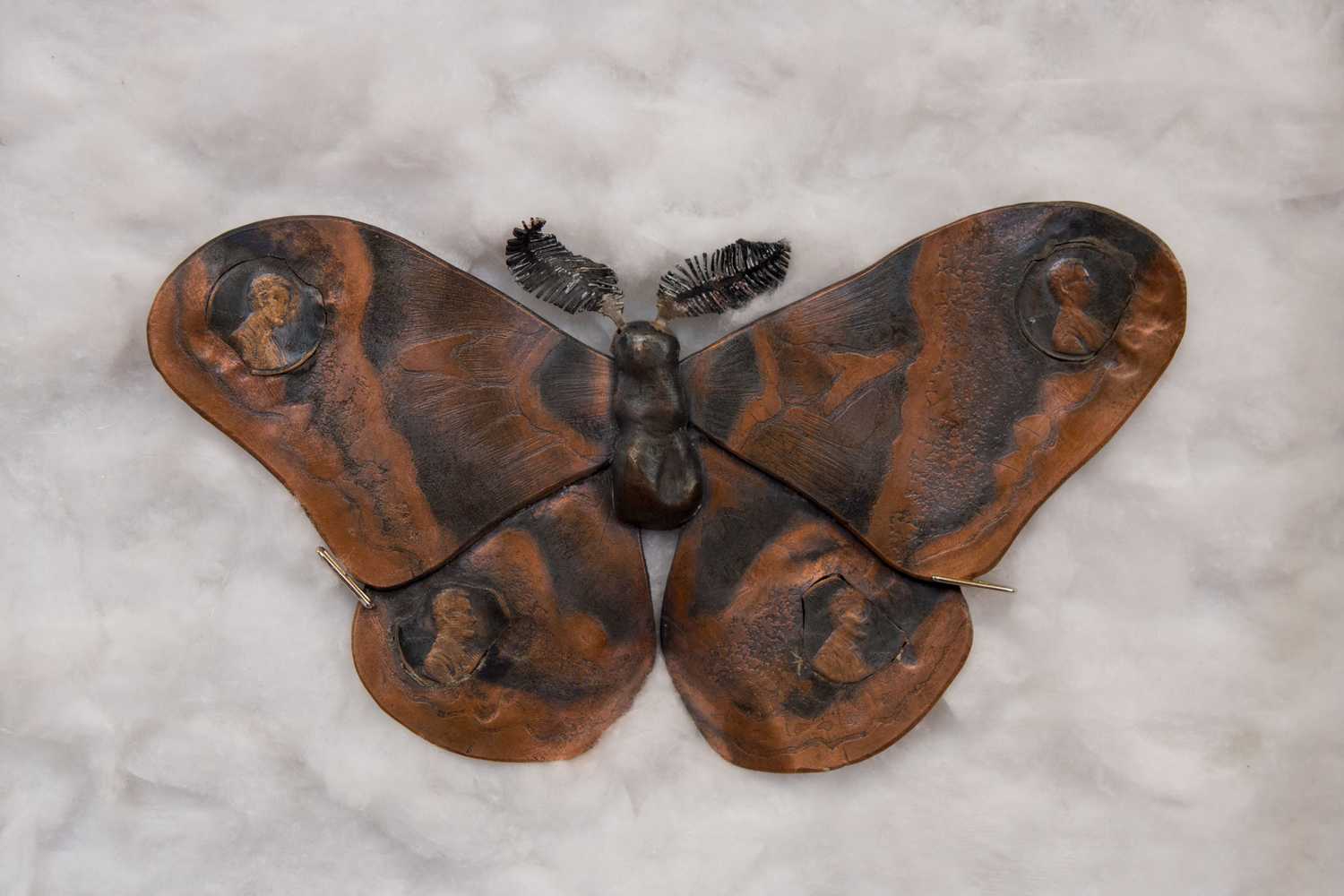 jkery moth front