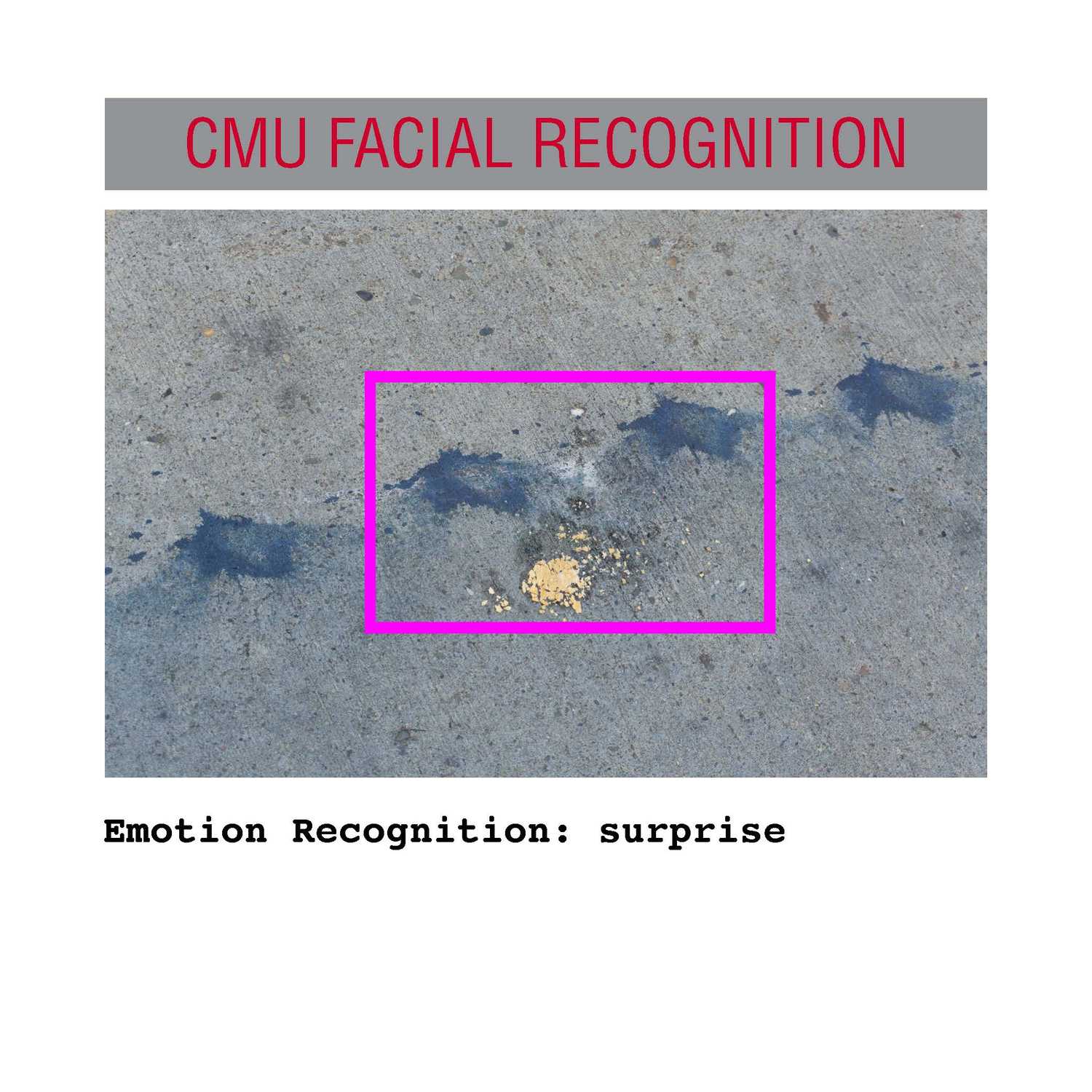 facial recognition Page 19
