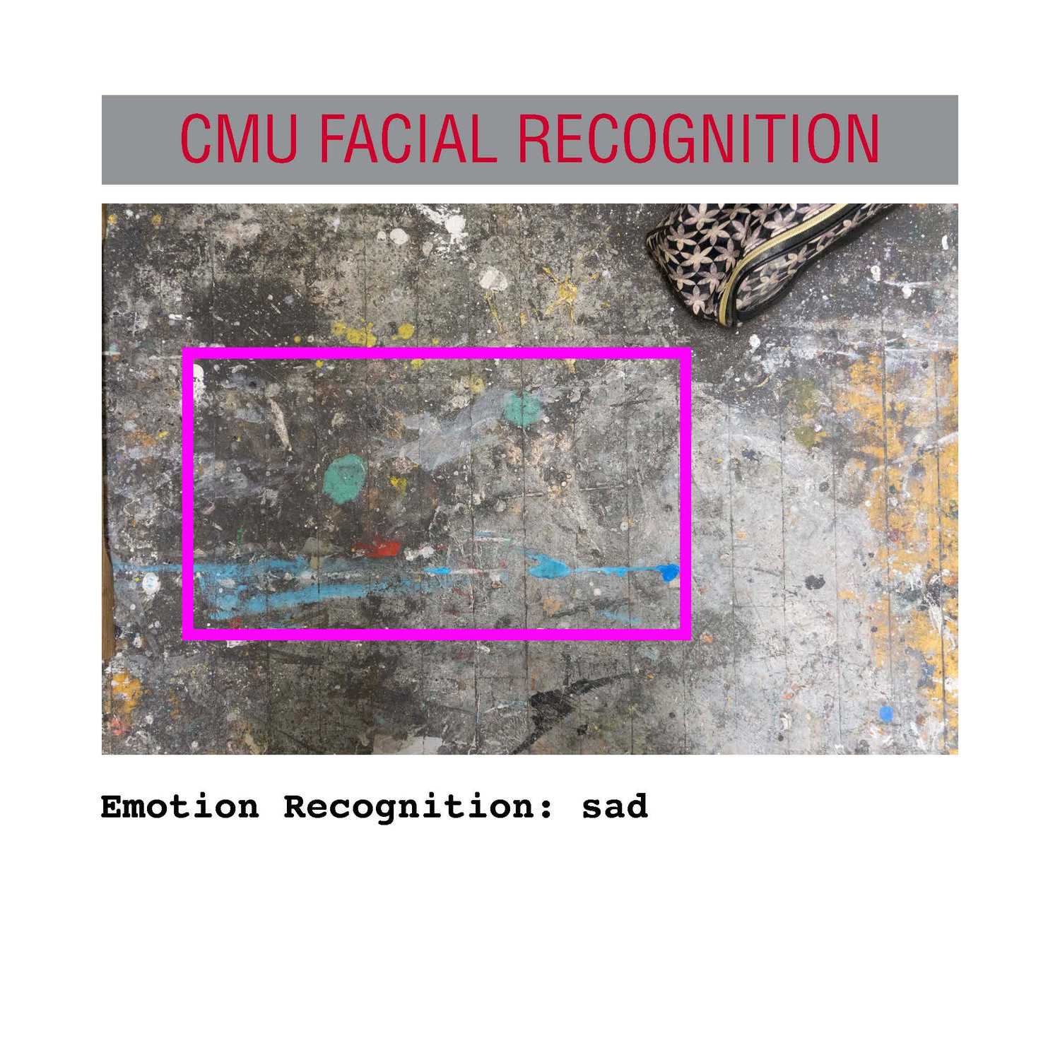facial recognition Page 01