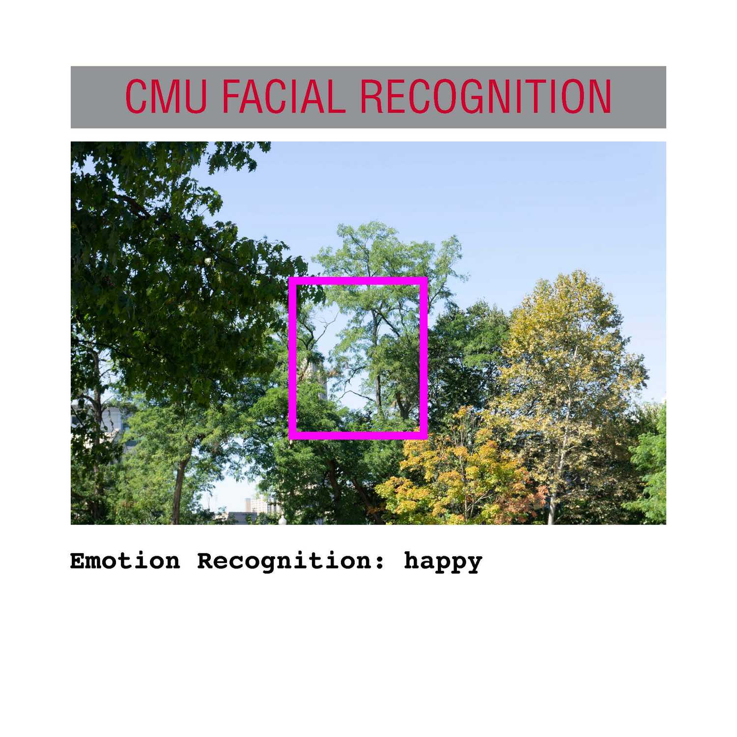 facial recognition Page 31