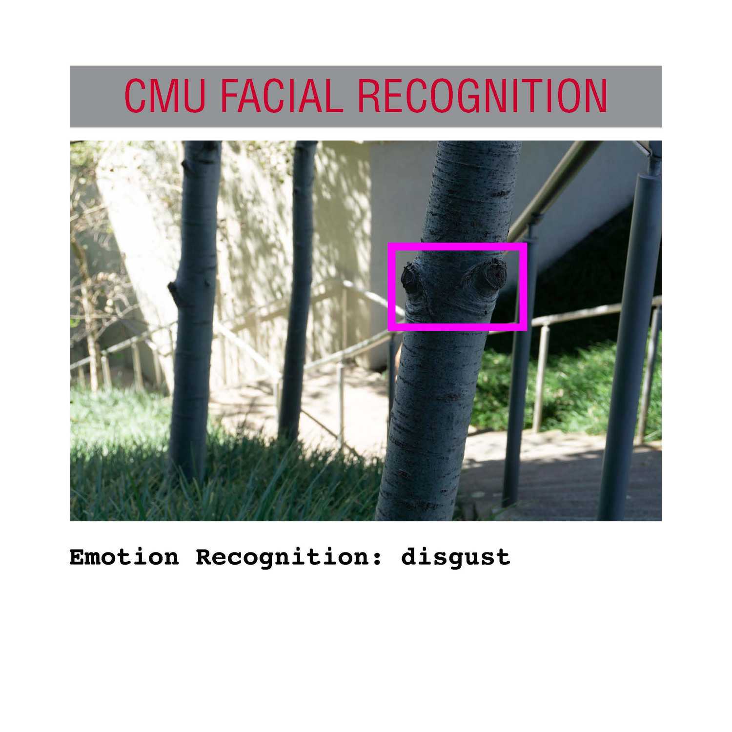 facial recognition Page 02