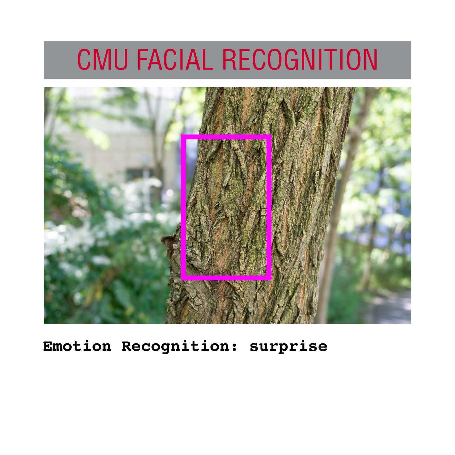 facial recognition Page 10