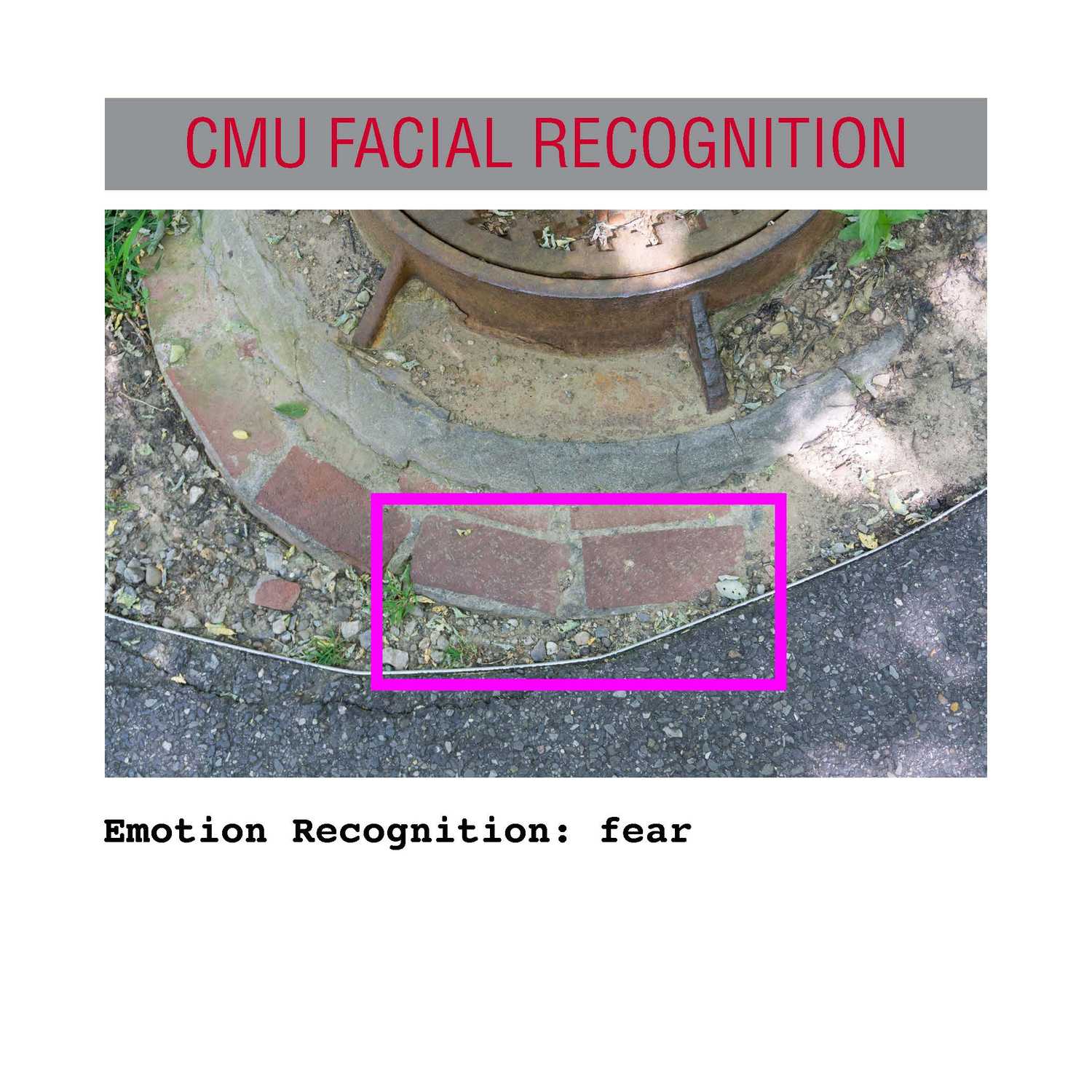 facial recognition Page 12