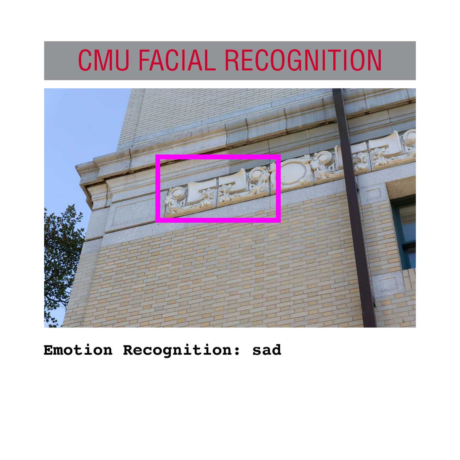 facial recognition Page 36