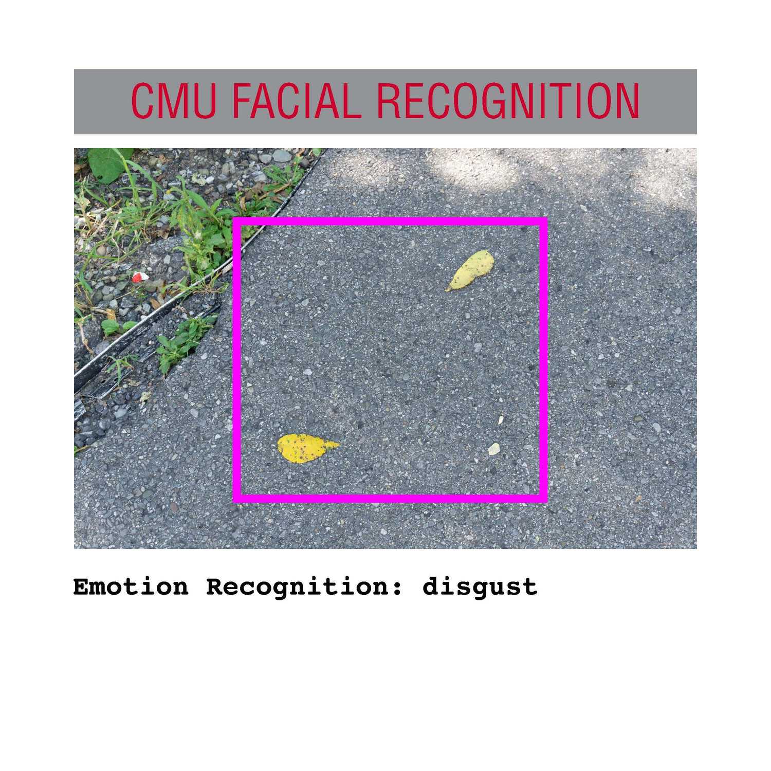 facial recognition Page 16
