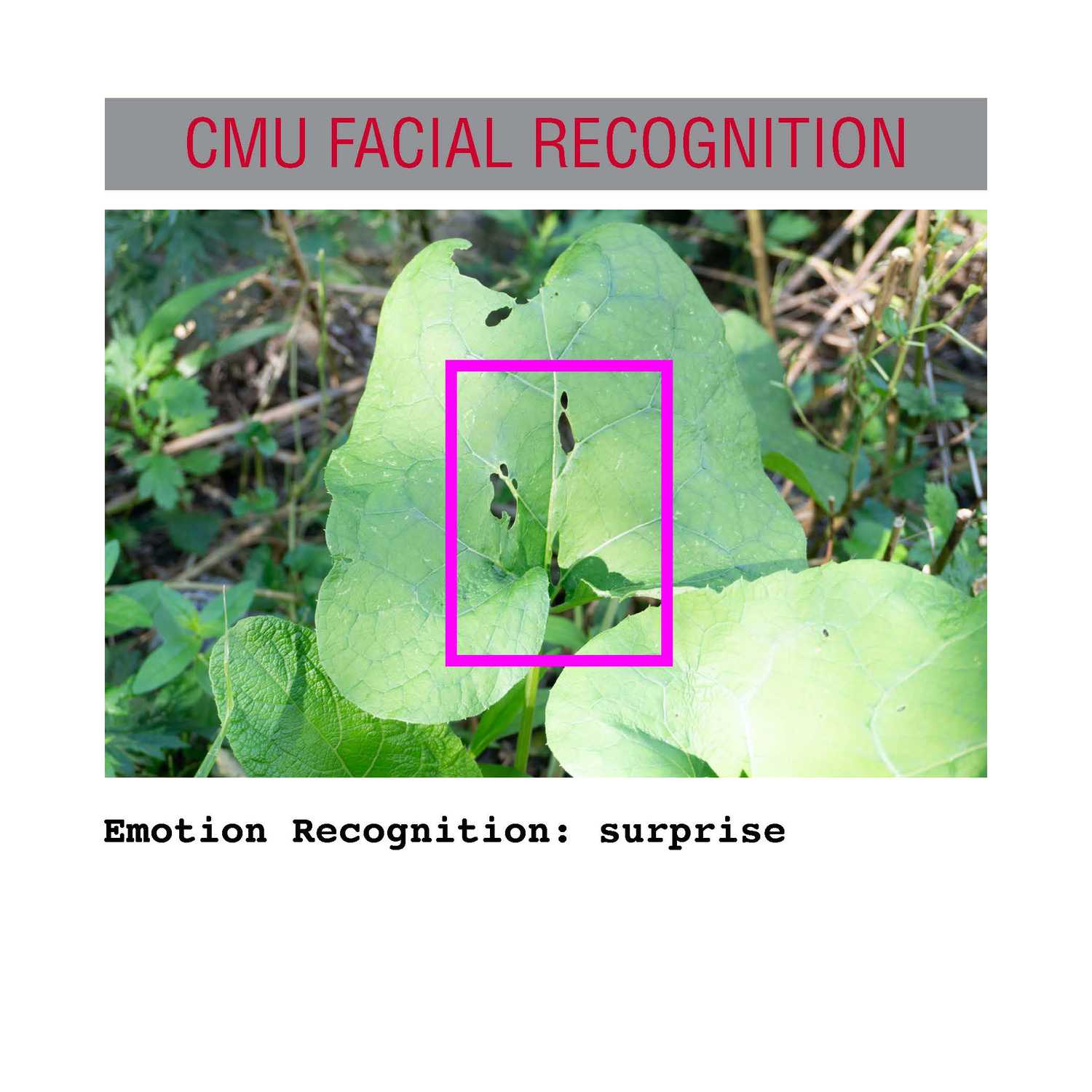 facial recognition Page 11