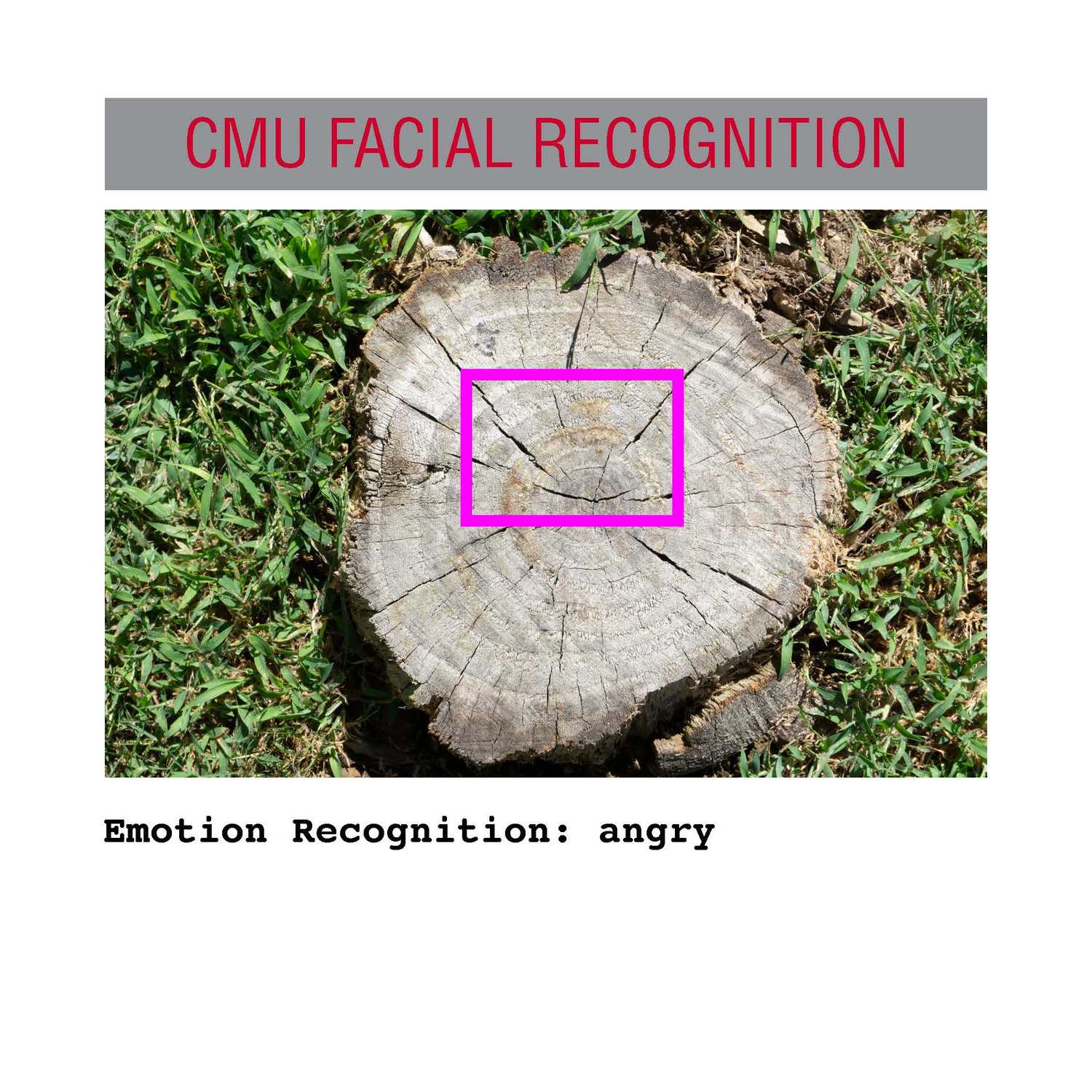 facial recognition Page 06