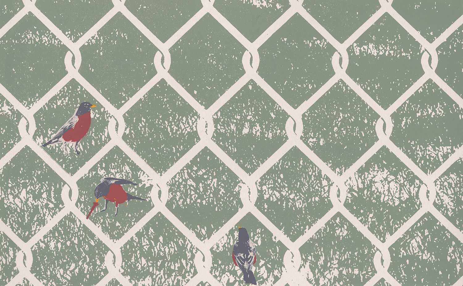 Print of robins behind a wire fence.