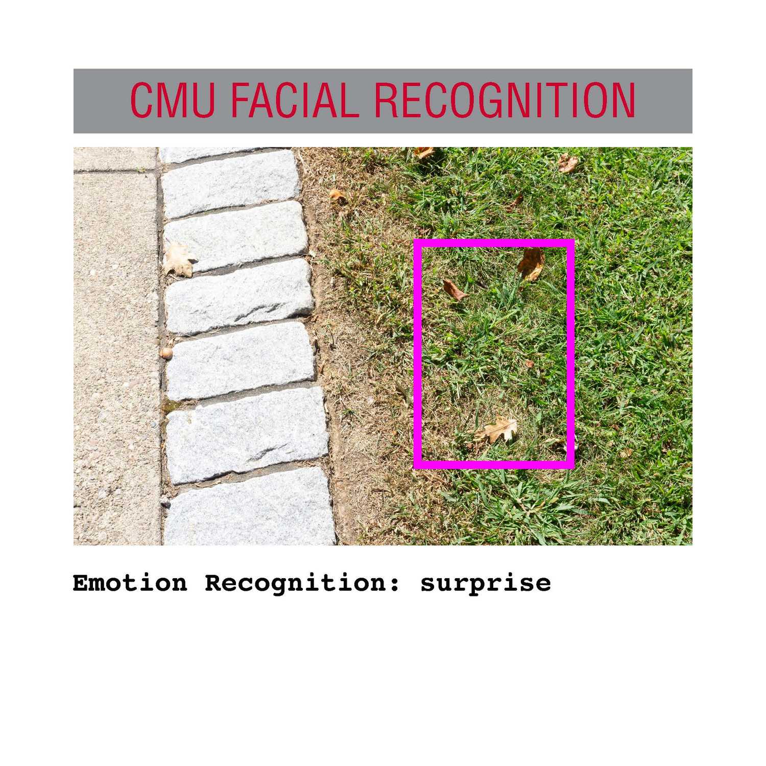 facial recognition Page 32