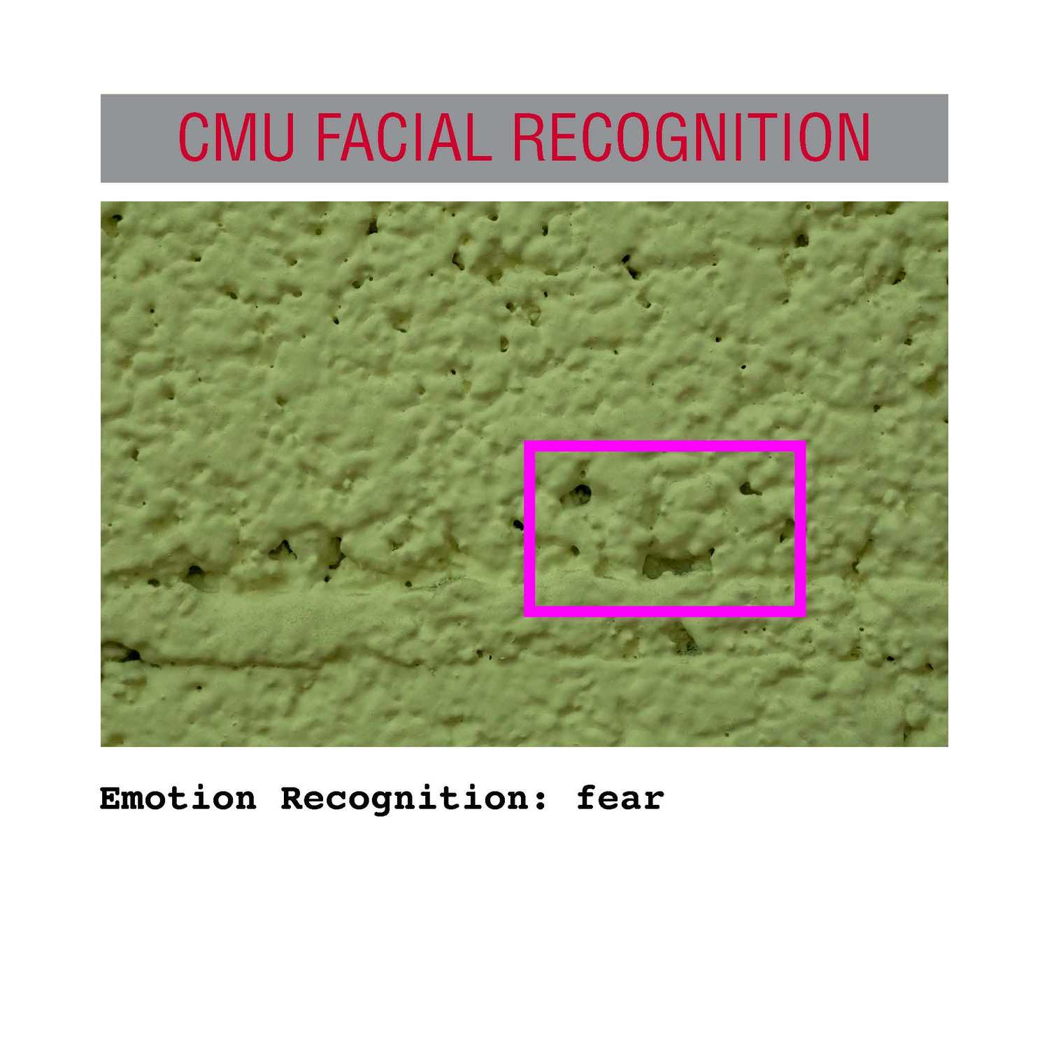 facial recognition Page 30