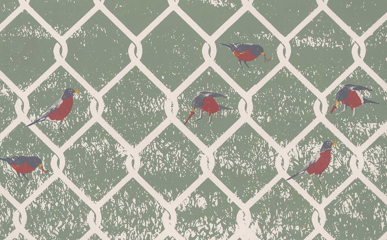 Print of robins behind a wire fence.