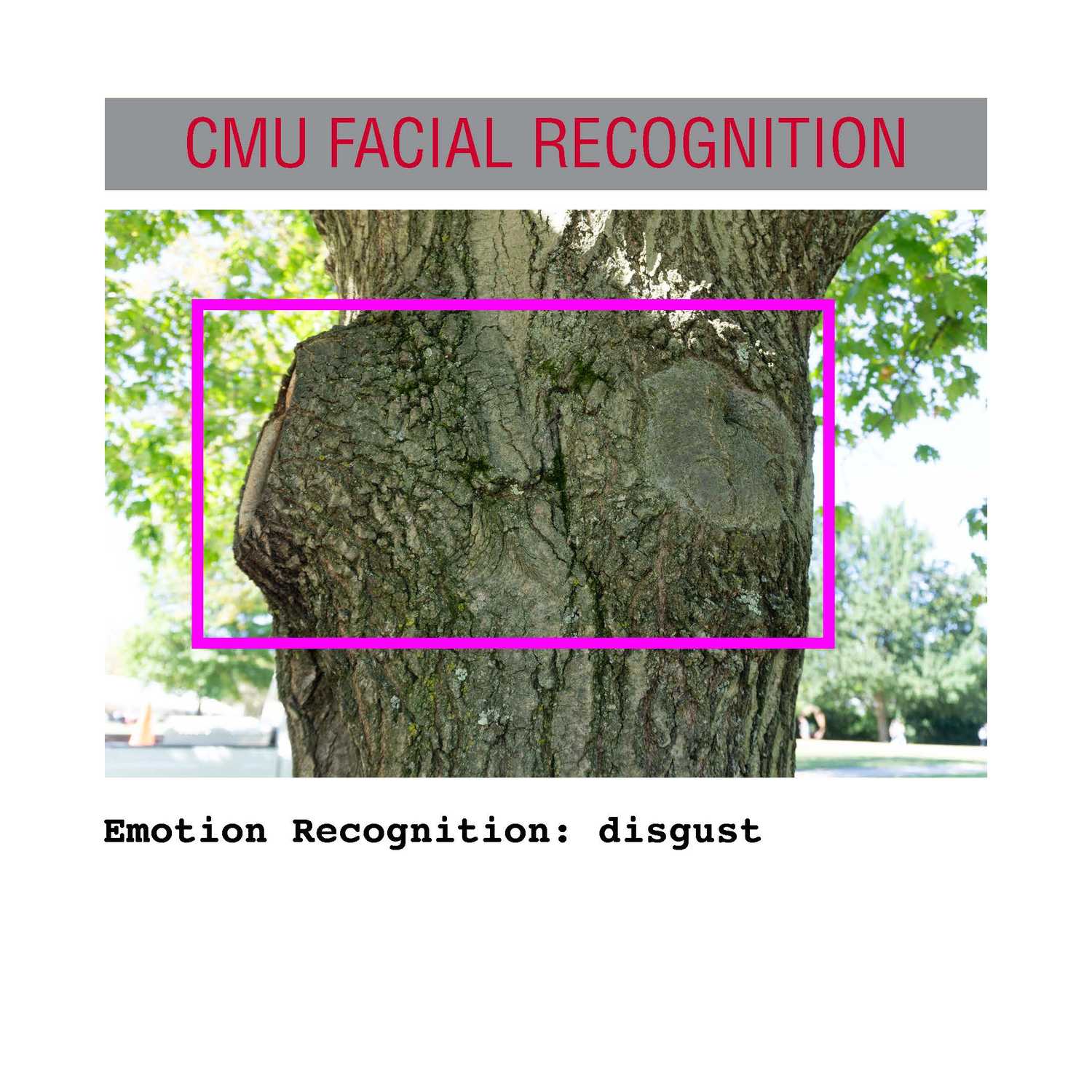 facial recognition Page 33